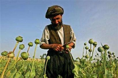 kandahar opium traders