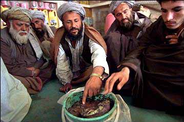 kandahar opium dealers