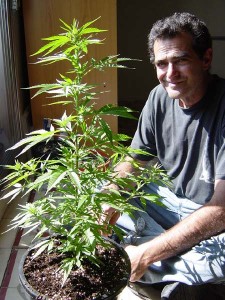 Cannabis Farme with Jack Herer